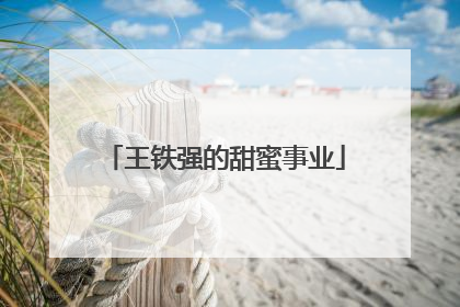 王铁强的甜蜜事业