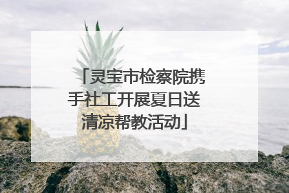 灵宝市检察院携手社工开展夏日送清凉帮教活动