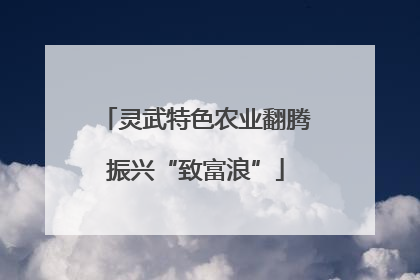 灵武特色农业翻腾振兴“致富浪”