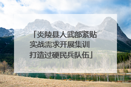 炎陵县人武部紧贴实战需求开展集训 打造过硬民兵队伍