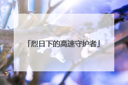烈日下的高速守护者