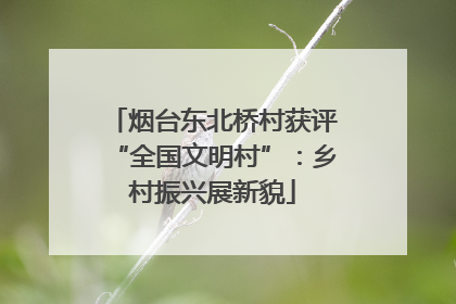 烟台东北桥村获评“全国文明村”：乡村振兴展新貌