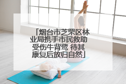 烟台市芝罘区林业局携手市民救助受伤牛背鹭 待其康复后放归自然