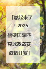 燃起来了！2025鹤壁国际匹克球邀请赛激情开赛