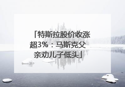 特斯拉股价收涨超3%：马斯克父亲劝儿子低头