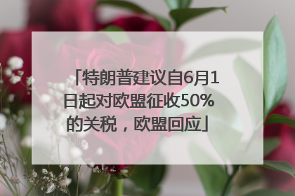 特朗普建议自6月1日起对欧盟征收50%的关税，欧盟回应
