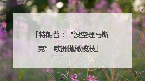 特朗普：“没空理马斯克” 欧洲抛橄榄枝