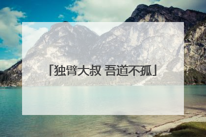 独臂大叔 吾道不孤