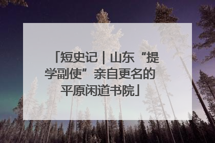 短史记｜山东“提学副使”亲自更名的平原闲道书院