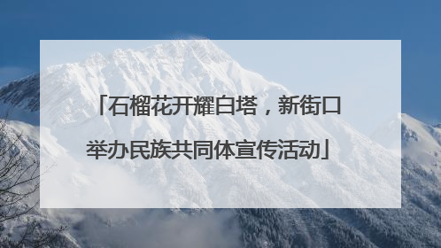 石榴花开耀白塔，新街口举办民族共同体宣传活动