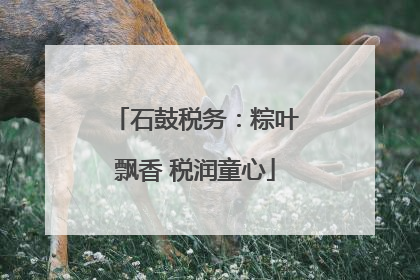 石鼓税务：粽叶飘香 税润童心