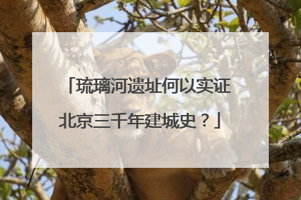 琉璃河遗址何以实证北京三千年建城史？
