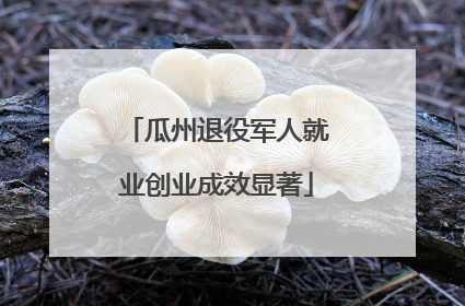 瓜州退役军人就业创业成效显著