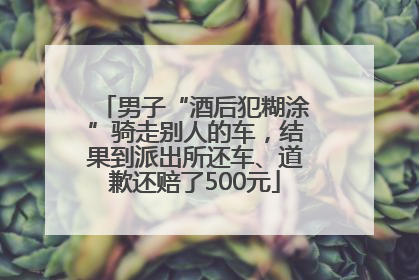 男子“酒后犯糊涂”骑走别人的车，结果到派出所还车、道歉还赔了500元
