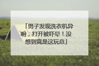男子发现洗衣机异响，打开被吓晕！没想到竟是这玩意