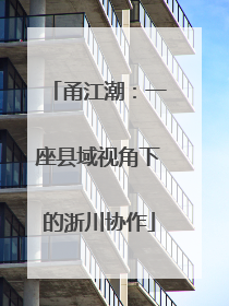 甬江潮：一座县域视角下的浙川协作