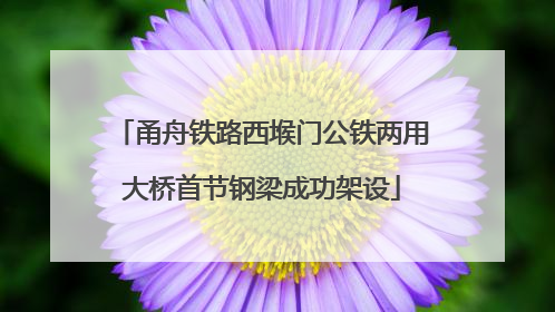 甬舟铁路西堠门公铁两用大桥首节钢梁成功架设