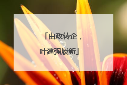 由政转企，叶建强履新