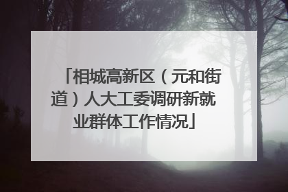 相城高新区（元和街道）人大工委调研新就业群体工作情况