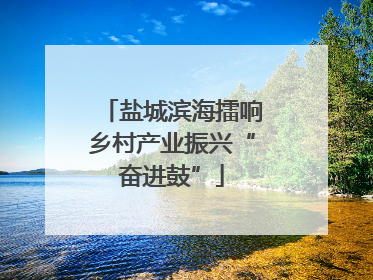 盐城滨海擂响乡村产业振兴“奋进鼓”