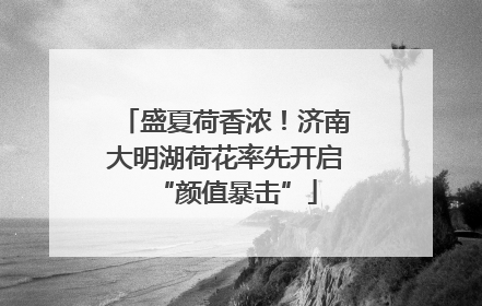 盛夏荷香浓！济南大明湖荷花率先开启“颜值暴击”