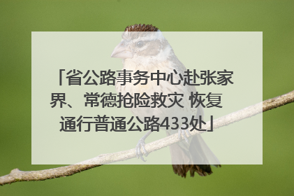 省公路事务中心赴张家界、常德抢险救灾 恢复通行普通公路433处