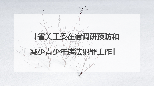 省关工委在宿调研预防和减少青少年违法犯罪工作