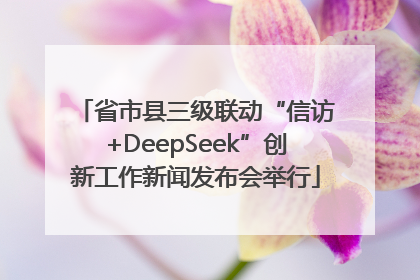 省市县三级联动“信访+DeepSeek”创新工作新闻发布会举行