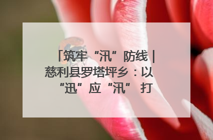 筑牢“汛”防线｜慈利县罗塔坪乡：以“迅”应“汛” 打赢暴雨防御战