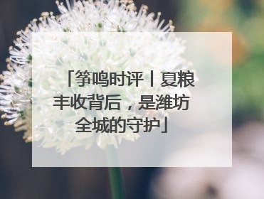 筝鸣时评丨夏粮丰收背后，是潍坊全城的守护