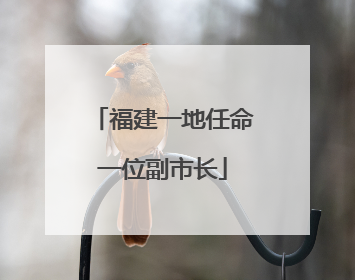 福建一地任命一位副市长