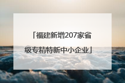 福建新增207家省级专精特新中小企业