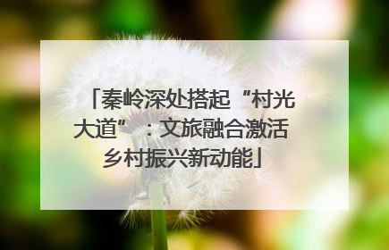 秦岭深处搭起“村光大道”：文旅融合激活乡村振兴新动能