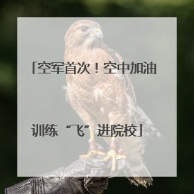 空军首次！空中加油训练“飞”进院校
