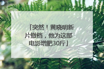突然！黄晓明新片撤档，他为这部电影增肥30斤