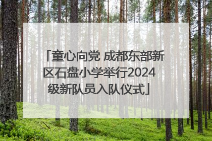 童心向党 成都东部新区石盘小学举行2024级新队员入队仪式