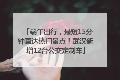 端午出行，最短15分钟直达热门景点！武汉新增12台公交定制车