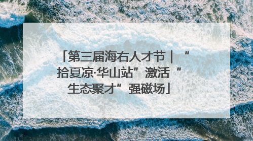 第三届海右人才节｜“拾夏凉·华山站”激活“生态聚才”强磁场