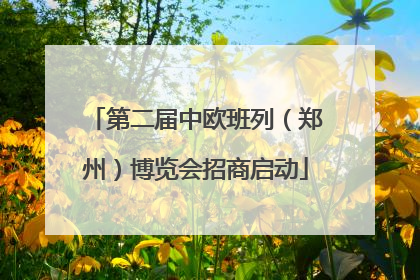 第二届中欧班列（郑州）博览会招商启动