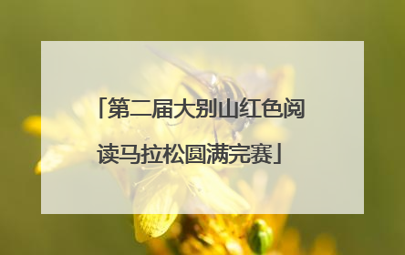 第二届大别山红色阅读马拉松圆满完赛