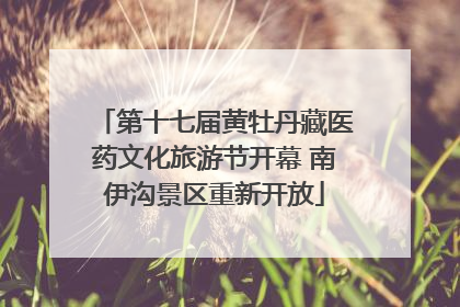第十七届黄牡丹藏医药文化旅游节开幕 南伊沟景区重新开放