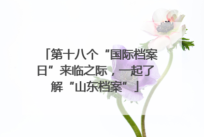 第十八个“国际档案日”来临之际，一起了解“山东档案”