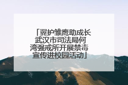 翼护雏鹰助成长 武汉市司法局何湾强戒所开展禁毒宣传进校园活动