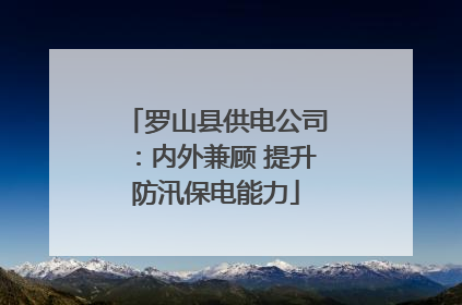 罗山县供电公司：内外兼顾 提升防汛保电能力
