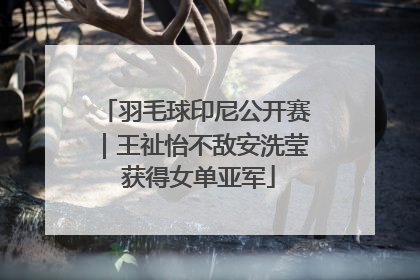 羽毛球印尼公开赛｜王祉怡不敌安洗莹 获得女单亚军