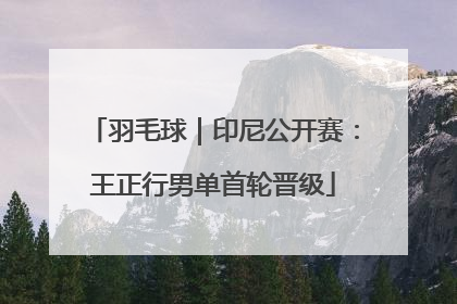 羽毛球｜印尼公开赛：王正行男单首轮晋级
