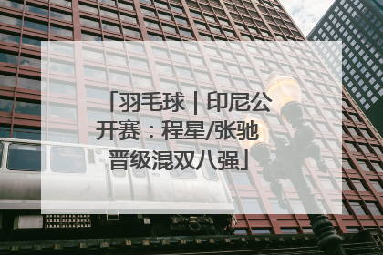 羽毛球｜印尼公开赛：程星/张驰晋级混双八强