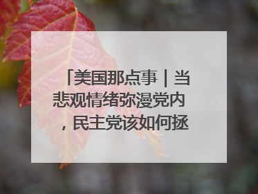 美国那点事｜当悲观情绪弥漫党内，民主党该如何拯救自己？