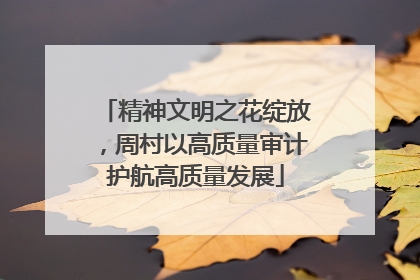 精神文明之花绽放，周村以高质量审计护航高质量发展