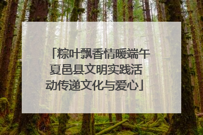 粽叶飘香情暖端午 夏邑县文明实践活动传递文化与爱心